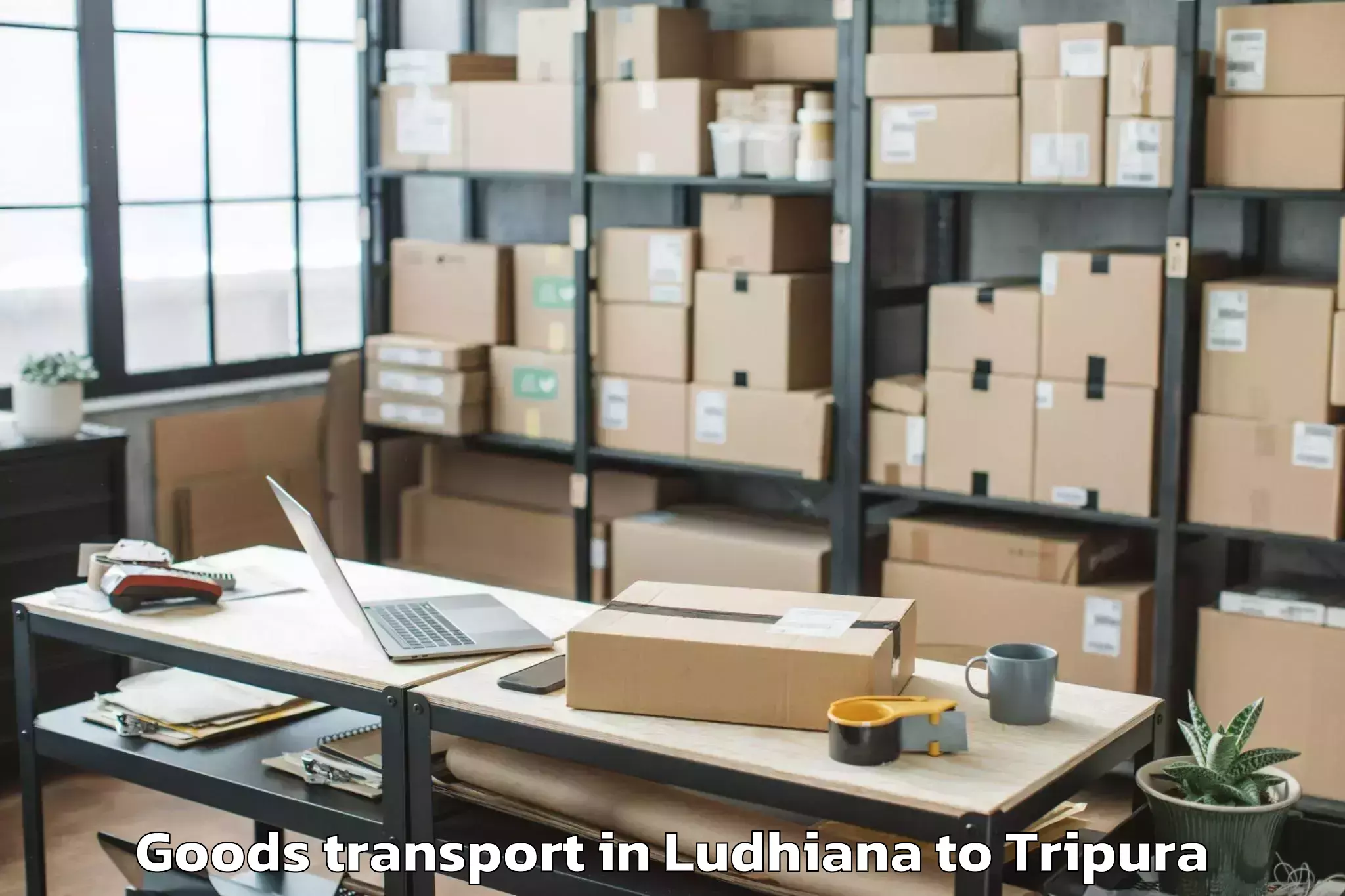 Trusted Ludhiana to Teliamura Goods Transport